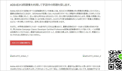 ad0-e313_shiken_2