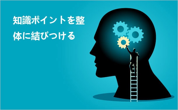 知識ポイントを整体に結びつける