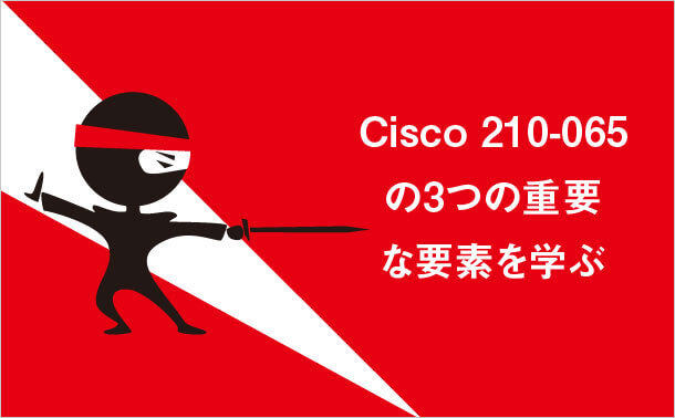 Cisco 210-065