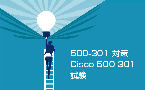 500-301 対策