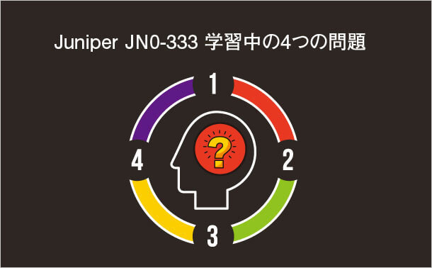 Juniper JN0-333