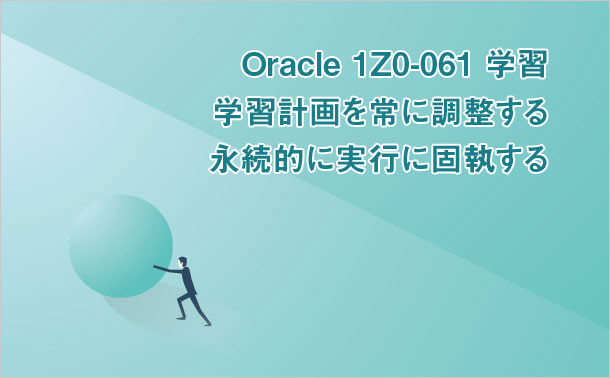 Oracle 1Z0-061 学習