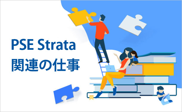 PSE Strata関連の仕事