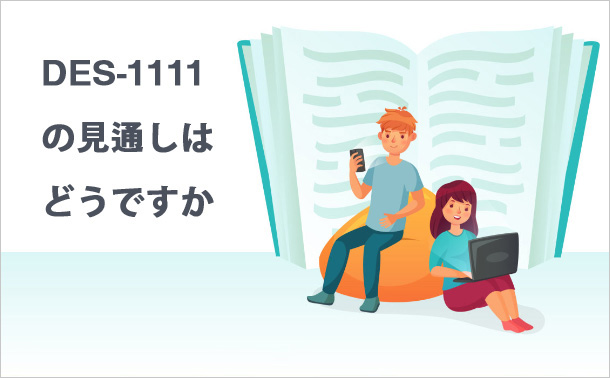 DES-1111の見通しはどうですか