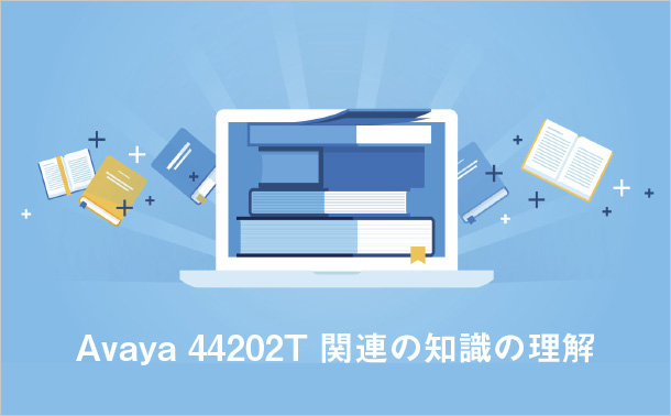 Avaya 44202T関連の知識の理解